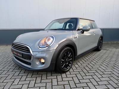 Mini Mini 1.5 One Pepper *Navi *Cruise con*Pdc*Moonwalk grey