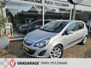 Opel Corsa 1.2-16V BlitZ,frisse auto,leuke opties