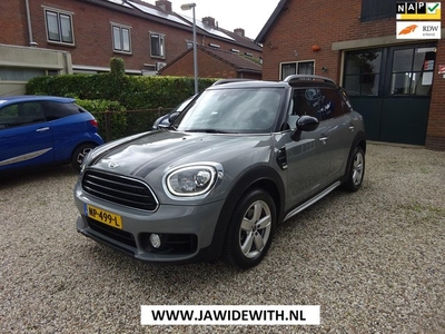 Mini Mini Countryman 1.5 Cooper Chili Navigatie, Climate