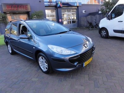 Peugeot 307 Benzine