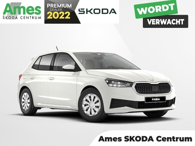 Skoda Fabia Benzine