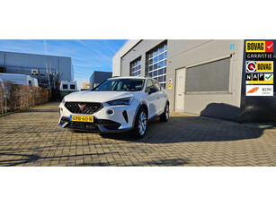 Cupra Formentor 1.4 e-Hybrid Business incl. 1 jaar garantie!