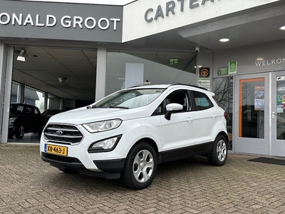 Ford EcoSport Benzine