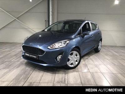 Ford Fiesta Benzine