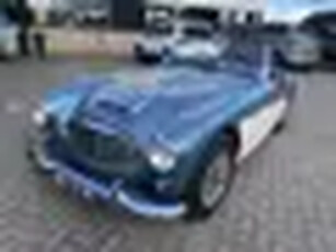 Austin Healey 100/six BN4 Prachtige 2 plus staat. Super