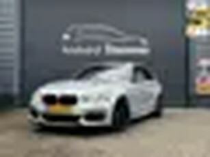 BMW 1-serie M135i M Performance uitlaat H&K Pano Cam