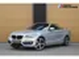 BMW 2 Serie Cabrio 220i High Executive * Sport line * Keyless entry * Navigatie Professional * Deale