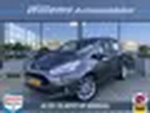 Ford B-MAX 1.0 EcoBoost Titanium Cruise Control, Camera & Navigatie