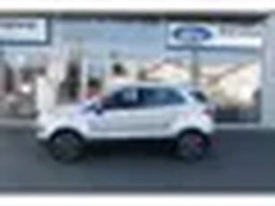 Ford EcoSport 1.0 EcoBoost Titanium 125 PK.AIRCO,CRUISE,TREKHAAK.