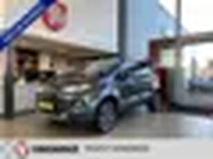 Ford EcoSport 1.0 EcoBoost Titanium S,Navigatie,Achteruitrijcamera,V&A Sensoren,Leder&Stoelverwarmin