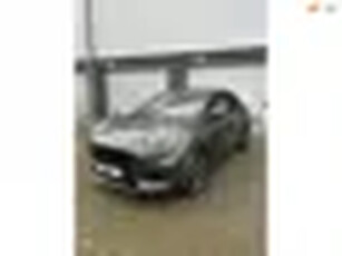 Ford Puma 1.0 EcoBoost Hybrid ST-Line Winterpakket