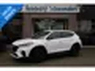 Hyundai Tucson 1.6 T-GDI N-Line 4WD TREKHAAK-AFN CAMERA STUUR+STOELVERW DAB 19