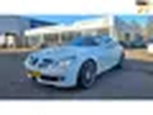 Mercedes-Benz SLK-klasse 300 Cruel-Summer Edition