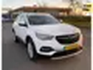 Opel Grandland X 1.2 Turbo Business Executive, Aut, Trekhaak, Cam, 1e eig, Geen import, Nap, Dealer