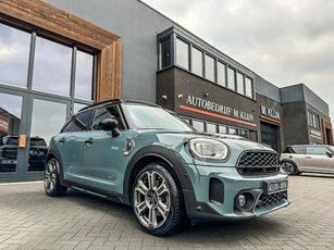 Mini Mini Countryman 2.0 Cooper S E ALL4 aut 220pk Sage