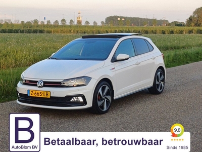 Volkswagen Polo 2.0 TSI GTI Pano | Clima | Cruise | Stoelverw. | 17 INCH | Park V+A