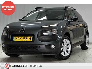 Citroën C4 Cactus 1.2 PureTech Business/