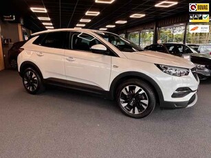 Opel Grandland X 1.2 Turbo Business Executive | Camera | PDC Voor + Achter | Cruise | Dealeronderh. | APK '26 | IsoFix | 1ste Eig.