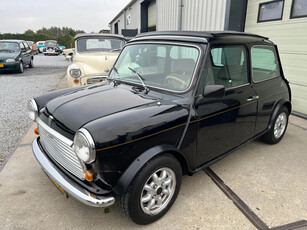 Rover Mini 1.3 I E2