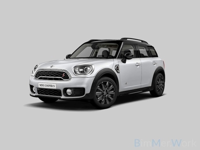 Mini Countryman Benzine