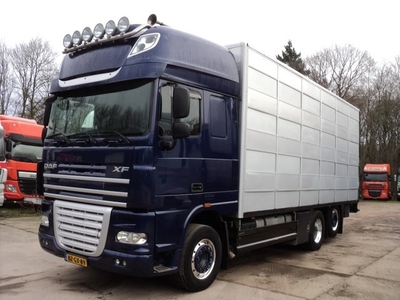 DAF XF 105.460 ssc 6x2 veewagen voor varkens OLDE TACHO