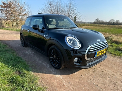 MINI MINI Cooper 1.5 Chili. Panoramadk,Navi head up,LED,Camera Park ass !! Volle auto !!