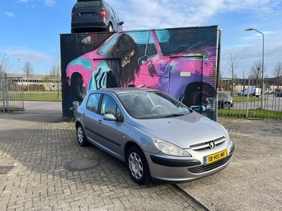 Peugeot 307 1.6-16V XS NL Auto NW APK