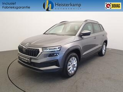 Skoda Karoq 1.0 TSI 110pk Business Edition Camera, Winterpakket