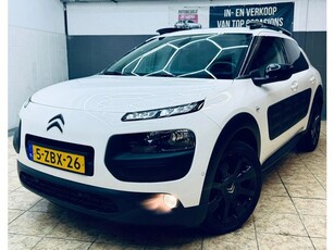 Citroen C4 Cactus 1.2 P-Tech Business Dealer O.H/Rijklaar