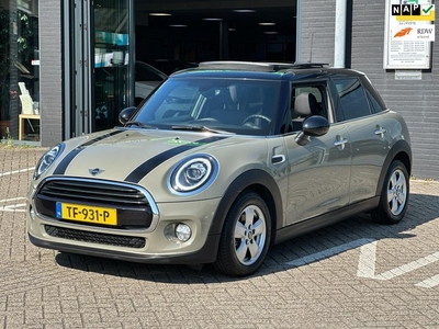 Mini Mini 1.5 Cooper Salt/1STE