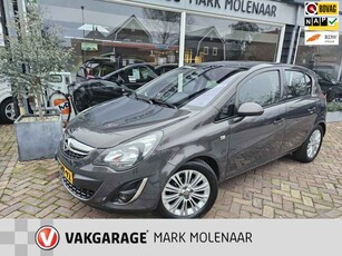 Opel Corsa 1.4-16V Cosmo,navi,telefoon,park sensoren