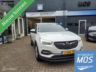 Opel Grandland X 1.2 Turbo Business Edition trekhaak