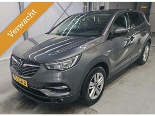 Opel Grandland X 1.6 CDTi Online Edition Navi Parkeer