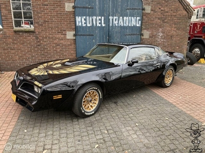 Pontiac Firebird 6.6 Trans-Am black gold