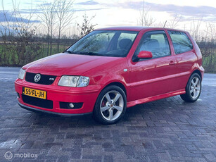 Volkswagen Polo 1.6-16V GTI