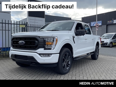 Ford F-150 Benzine