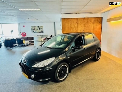 Peugeot 307 1.6-16V XS Apk Nieuw,Cruise,Clima,Bluetooth,Lm