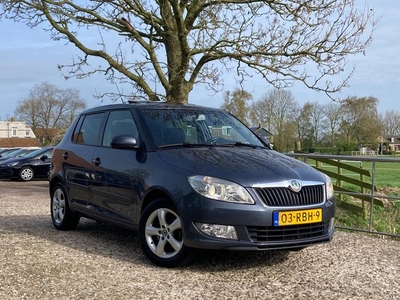 Skoda Fabia 1.2 TSI Dynamic Schuif/kanteldak + Cruise +