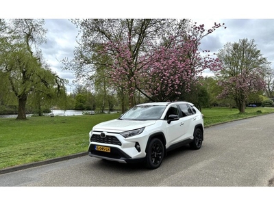 Toyota RAV4 2.0 VERKOCHT. (bj 2019, automaat)