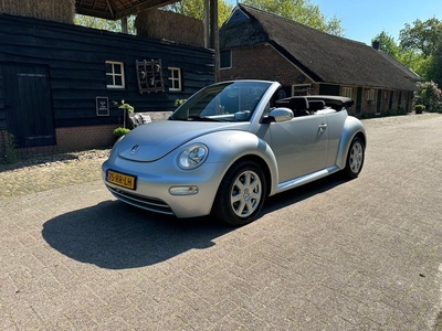 Volkswagen New Beetle Cabriolet 1.6 Turijn Comfort. Eerste