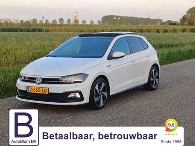 Volkswagen Polo 2.0 TSI GTI Pano Clima Cruise