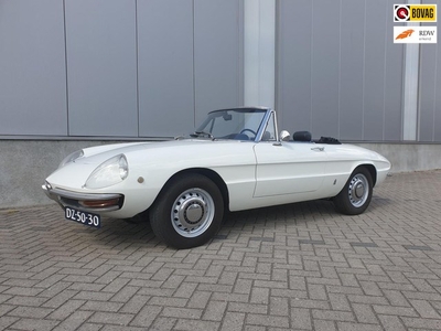 Alfa Romeo Spider 1750 Bianco Spino