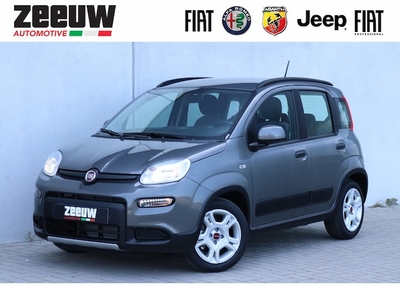 Fiat Panda Benzine