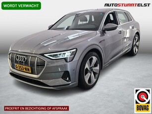 Audi e-tron e-tron 55 quattro advanced 95 kWh