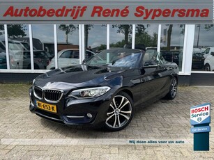 BMW 2 Serie Cabrio 218i Centennial High Executive