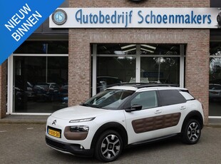 Citroen C4 Cactus 1.6 BlueHDi Business Plus Camera Leer Pano