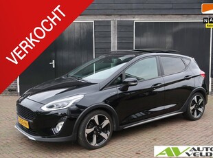 Ford Fiesta 1.0 EcoBoost Active schuifdak, trekhaak