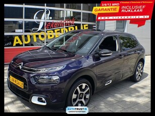 Citroen C4 Cactus 1.2 e-THP Shine - Panorama dak I