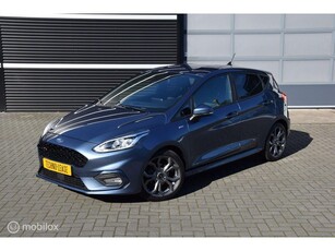 Ford Fiesta 1.0 EcoBoost ST-Line winter pakket apple carplay