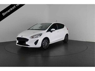 Ford Fiesta 1.1 ALL WHITE NAVIGATIE AIRCO